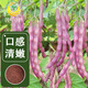 Fengming Yashi green bean seeds spring and autumn purple beans farm field planting red beans seeds 200g