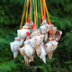 Aseblarm [4] Natural conch horn can blow trumpet Children's toys Conch shell crafts shell whistle Conch horn (4 random models) 5-10 cm