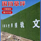 Engineering fence lawn cloth artificial simulated fake turf paving green mesh plastic carpet outdoor decoration green fence 1.0 adhesive-backed encrypted army green 2mx25m