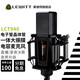 LEWITT LCT940 tube transistor condenser microphone, computer and mobile phone live broadcast, anchor recording and dubbing, professional recording studio microphone, LEWITT LCT940 microphone single product, audio equipment
