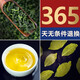BAIRU SPECIAL NOUVEAU THE ANNI TIEguanyin Tea 1725 Oolong Tea Gift Box Gift Tea Spring Tea 500G