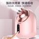 Zhuiyu Facial Steamer Home Beauty Facial Moisturizing and Moisturizing Nano-scale Spray Facial Steamer Machine Hot and Cold Dual Spray Blackhead Cleansing Facial Spray Machine Mask Heating Flagship Upgrade Model Hot and Cold Dual Spray + Upgraded Water Tank + Facial Mask Partner