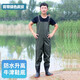 Qizhonglang fishing suit waterproof pants waders rain pants with water shoes one-piece men's water jacket wear-resistant leather fork wading pants thickened suspender half pants green 100 silk 42