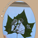 Wutong leaf carving and leaf carving photos high-end customization gifts for couples and friends to give gifts for best friends on Chinese Valentine's birthday. Wutong leaf + plastic seal + 6-inch photo frame with lights. Post a photo after placing an order (customer service)