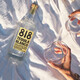 詹娜818龙舌兰洋酒 tequila龙舌兰酒 银标龙舌兰调酒基酒  818龙舌兰 詹娜818银龙舌兰 750mL 1瓶