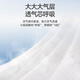 宜婴新梦想家全包臀婴儿小内裤5XL56拉拉裤尿裤【品牌直供 安心品质】