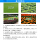 Senhuodiwo high-end garden special fertilizer nitrogen, phosphorus and potassium compound fertilizer seedlings green lawn general compound fertilizer 50Jin Jin is equal to 0.5kg