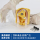 杰恒（JIHPUMP）683K大流量蠕动泵小型工业灌装机恒流泵自吸循环泵油墨饮料输送泵 683K/ZL-24V-507R-3215ml/