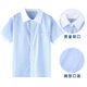 Xin Yueqing children's summer short-sleeved shirt for boys and girls, primary and secondary school uniform shirt, white collar, blue pinstripe half-sleeved top, thin striped boys' short-sleeved shirt 160 cm