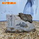 
General Manager's Office Desk Ornaments Taihang Mountain Strange Stone Natural Carving Taihang Stone Carving Natural Strange Stone Fish Tank Landscape White 3893