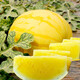 Dayu Yellow Heart Watermelon Seeds, Early Maturity, Yellow Skin, Red Flesh, Yellow Flesh, Special Xiaofeng Watermelon Seeds, Southern Fruit, Ansheng Huangmeiren Watermelon Seeds, 20 capsules
