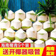 Selected large fruits, freshly picked Hainan coconut, green coconut, peeled pregnant women, goat fruit, water coconut, 4 pack