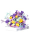 AIMAN fleurs vraies fleurs Yunnan bouquet de fleurs séchées myosotis vraies fleurs décoration de la maison arrangement floral simple mélange et correspondance haleine de bébé fleurs séchées violet + jaune + moût blanc + herbe des amoureux 30 pièces sac de fleurs séchées