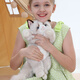 Cometa trapo Ragdoll Cat Plush Toy Doll Doll Doll Adornos almohada Valentín de San Valentín Regalos de curación para novia