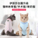 Dipul female cat sterilization clothing cat surgical clothing surgical clothing pet cat clothing weaning clothing cat anti-licking clothing recovery clothing blue M [suitable for 4-8 Jin [Jin equals 0.5 kg] cats]