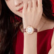 Caloric King Star Series Diamond-inlaid Deep Sea Mother Stone Dial Swiss Quartz Movement High-end Women's Watch CK16802