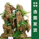 Shiguang Station absorbent stone natural stone bonsai fish tank courtyard large fish pond landscaping absorbent stone original stone water stone bonsai 15-19cm absorbent stone does not include basin