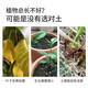 Dewoduo plant nutrient soil universal 32L gardening green plant flower soil vegetable organic soil flower vegetable potted planting soil