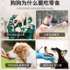 Hanhan Paradise Dog Snacks Gift Pack 500g Pet Snacks Teddy Golden Retriever Puppy Teeth Cleaning Stick Duck Chicken Breast