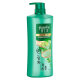 Xia Shilin Control de aceite CHAMPOO ANTI-DANDRUFF 750G Champú de hombres y mujeres para problemas de aceite y caspa