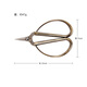 Zhang Xiaoquan Nail Scissors NS-9