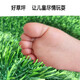 Duoxiu artificial lawn carpet plastic fake turf artificial turf balcony outdoor artificial turf kindergarten fake turf 20mm newly upgraded raw material 5A grade spring grass/50 square meters high grade