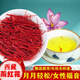 北京同仁堂【黑色星期五】藏红花正宗西藏特级野生藏红花一等泡水喝活血化瘀 胸膈痞闷特级精品超A花丝5克[单礼盒]