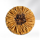 Huaici tang cordycep