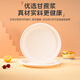 Babic disposable paper plate tableware cake plate barbecue plate Western food plate handmade art painting paper plate 10 inches 20 pieces