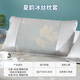 Craftsman's Choice Ice Silk Mat Pillow Case Xia Yun Ice Silk Mat Pillow Case Single Pack 48*74cm
