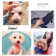 Hipidog Hundehäusche Sterilisation und Deodorisierung für lang anhaltende Duft Haustier Badebad Bichon Bär Teddy Granatapfel Katze Duschlotion [All Hunderasse] Haarschutz