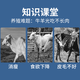 Animal husbandry Rumen Bao cattle and sheep rumen hormone fattening weight promotion growth stomach strengthening bulk fattening premix feed additive Rumen Bao 20Jin Jin equal to 0.5 kg, the whole barrel 10 bags