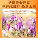 Zhuangmin 9A grade saffron 3g (Iran imported raw materials) Selected saffron full length red silk Hand-selected saffron Health tonics Send tweezers 9A [Excellent] saffron 3g pack