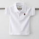 Camiseta para niños Camisa de solapa de verano de manga corta Polo de la solapa de verano Ropa para niños 2024 Nuevo estilo de collar gris de media manga para niños de tamaño mediano de tamaño mediano (684) 150