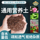 Dewoduo plant nutrient soil universal 32L gardening green plant flower soil vegetable organic soil flower vegetable potted planting soil