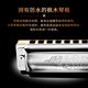 SEYDEL德国进口SEYDEL赛德 十孔10蓝调成人口琴 1847 CLASSIC 10孔D调