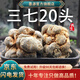 Moyuan Panax notoginseng Chinese medicinal materials Yunnan Wenshan genuine Panax notoginseng root 20-tow Tianqi fresh raw Panax notoginseng non-wild wine powder [60 Panax notoginseng] 100g