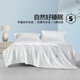 Mercury Home Textile Class A Washable Silk Summer Quilt Bedding Antibacterial Jacquard Medium-Filament Air Conditioner Summer Cool Quilt Flower Window Cat Washable Silk Summer Quilt (Golden) 150x200cm