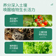 Stanley (STANLEY) compound fertilizer, vegetable gardening, flower fertilizer, household general-purpose chemical fertilizer, ternary nitrogen, phosphorus and potassium fertilizer 5Jin Jin is equal to 0.5kg