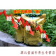 Money Green Willow Té Centennial Tree Money Green Willow Té de té de té de hoja Money Willow 500G