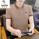 Holzspecker (Tucano) Ice Seide Kurzärärmelte T-Shirt Herren Sommer 2025 Neu gestreiftes Polo-Hemd T-Shirt Trendy Herren Casual Top Y6626 Gray L.