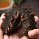 Dongshang Yupin Sea Cucumber Ready-to-Eat Dalian Fresh Wild Liao Sea Cucumber Solid 75% Seafood Gift Box Single New Year Goods 500g 16-19 Pieces/Jin Jin is equal to 0.5 kg