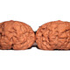 Ma simi yanqing goldene toad tad laad wenhua walnut Premium Collection Level Handheld White Lion vier Türme Nanjiang Stone 41 Kröte Head 12186