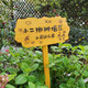 Zhongnuo Jiucheng anti-corrosion wooden vertical sign, care for flowers and plants, greening custom sign, lawn sign, warning sign 60cm*30cm*50