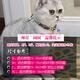Shanye Beidi pet cat Japanese and wind cat ring necklace cat bell necklace custom silent jewelry cornflower red L-large