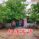 
New live background video live room anchor landscape pastoral outdoor scene Kuaishou Douyin Internet celebrity background cloth 11149 width 2.5 meters high 2.5 meters