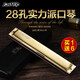 Easttop东方鼎德国进口音簧专业演奏口琴28孔复音重音口琴高级初学成人 28孔 G调 复音口琴-颜色留言