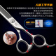 Xuanniao professional pet scissors, dental scissors, thinning shears, 6.5-inch Teddy dog grooming and trimming scissors, 6.5-inch fish bone scissors