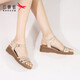 
Red Dragonfly Sandals Female Fairy Style New Summer Shoes with Skirt Students' Versatile Wedge Sandals Women's Shoes WTK9194 Beige 36