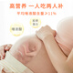 
Yagoma Big Swallow Strip 10g [Indonesia Traceable] High-cleaned bird's nest Dried bird's nest Nutritional nutritional products for pregnant women